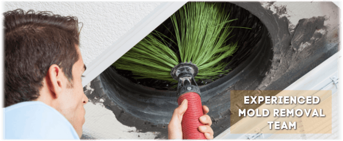 Air Duct Mold Removal in Plano TX